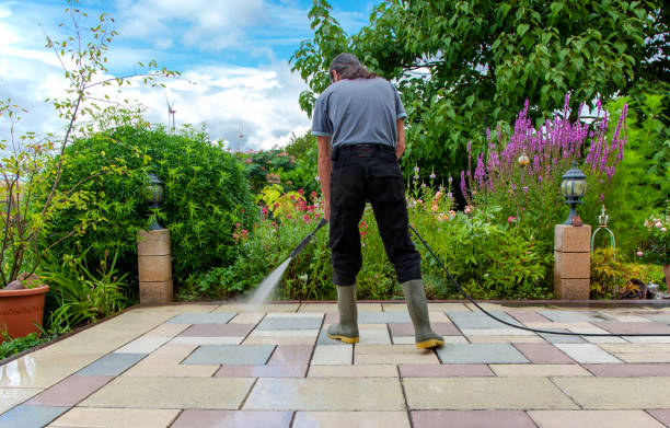 Best Roof Washing  in White Salmon, WA